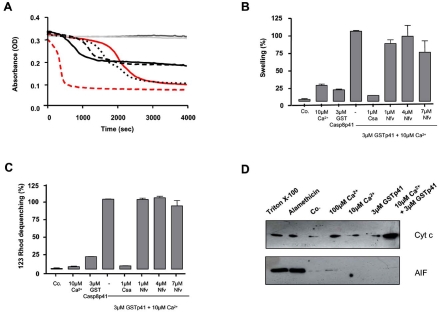 Fig. (3)