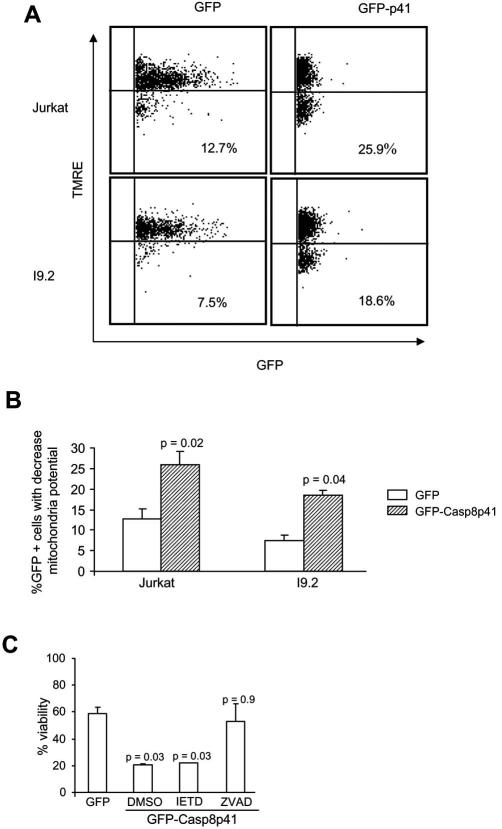 Fig. (1)