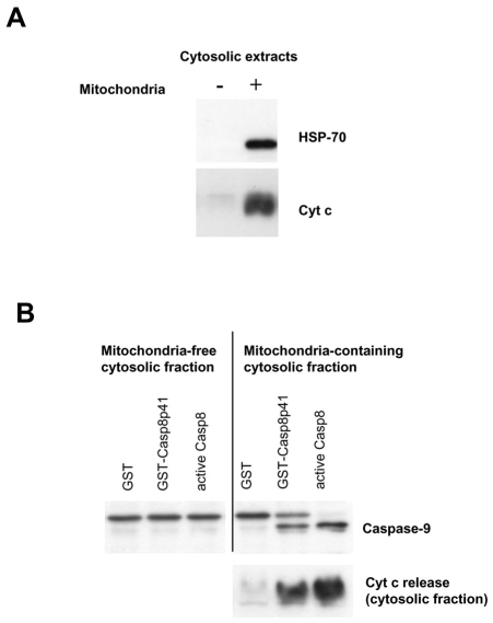 Fig. (2)