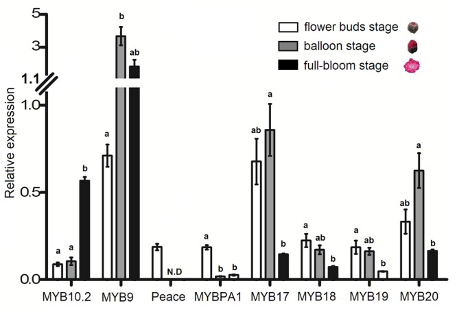 FIGURE 7