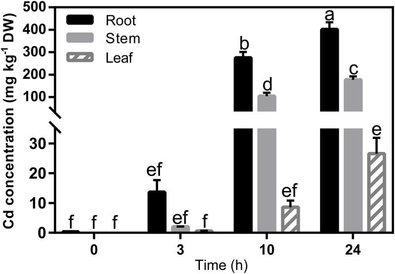 FIGURE 3