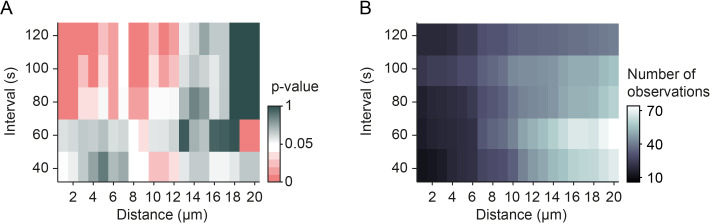 Figure 3—figure supplement 2.