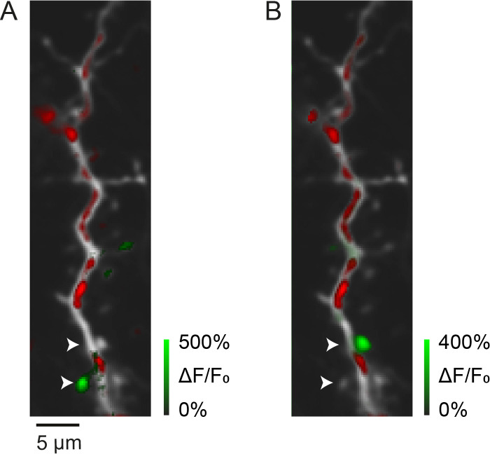 Figure 2—figure supplement 2.