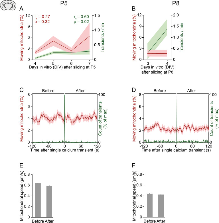 Figure 3—figure supplement 1.