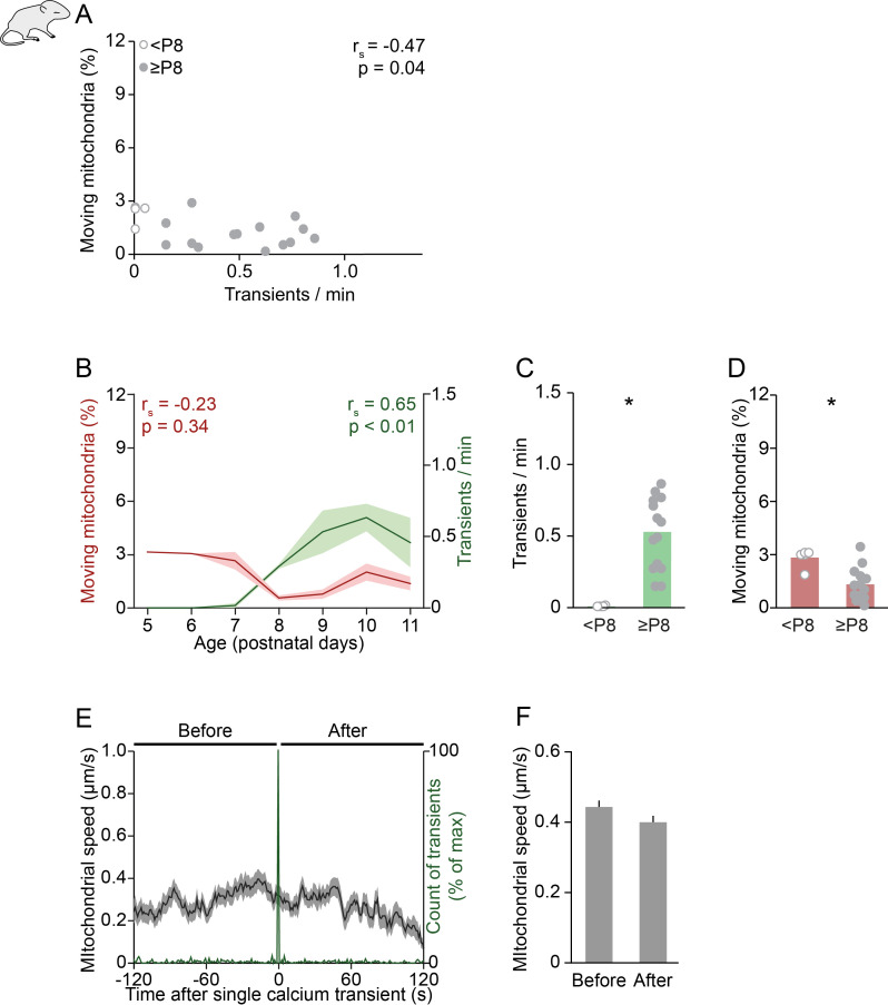 Figure 2—figure supplement 1.