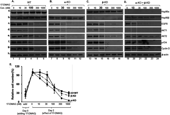 FIG 2