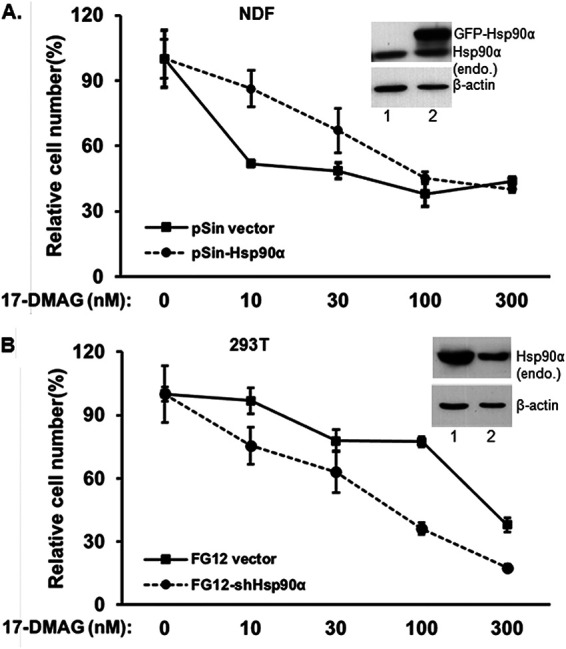 FIG 8