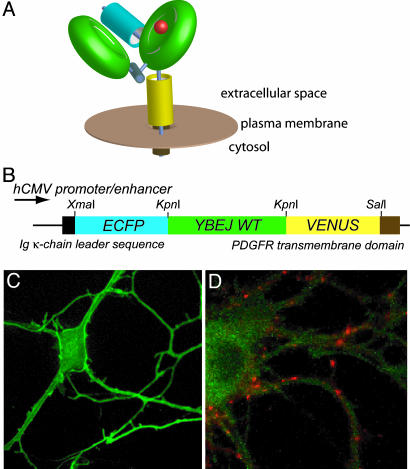 Fig. 4.