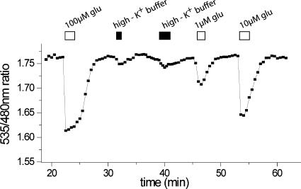 Fig. 8.