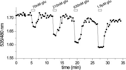 Fig. 6.