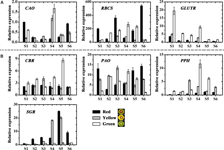 FIGURE 4