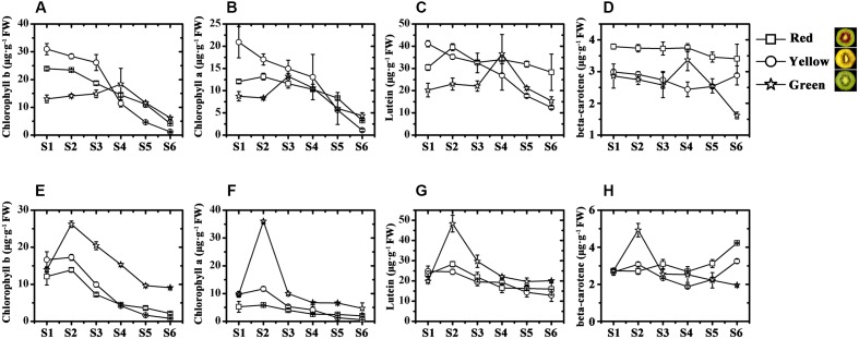 FIGURE 2