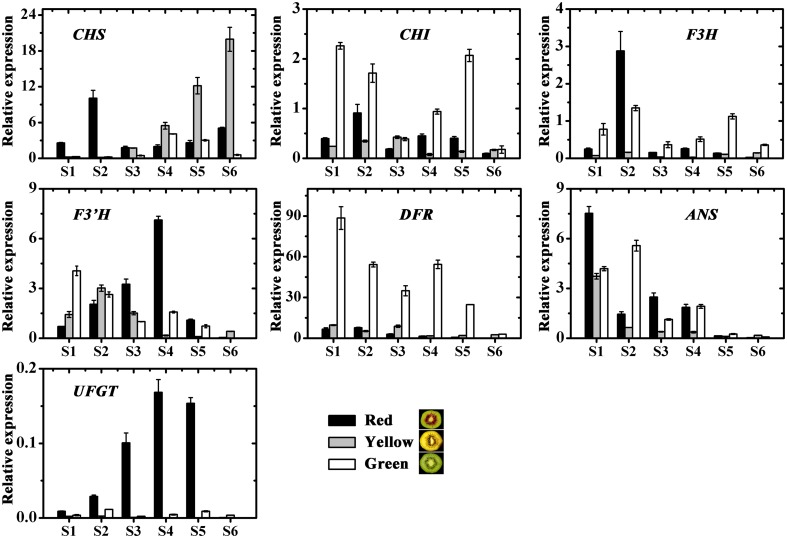 FIGURE 6