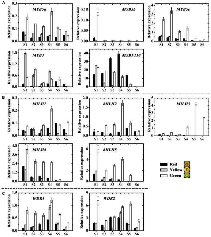 FIGURE 7