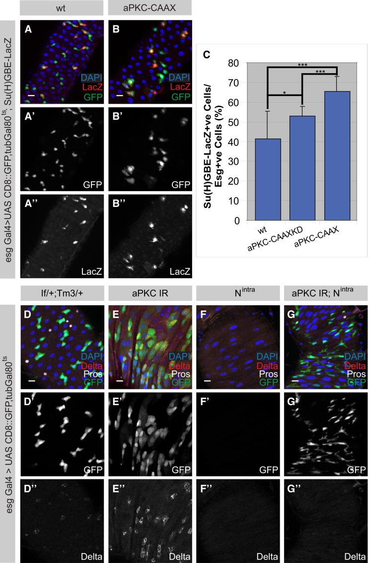 Figure 3