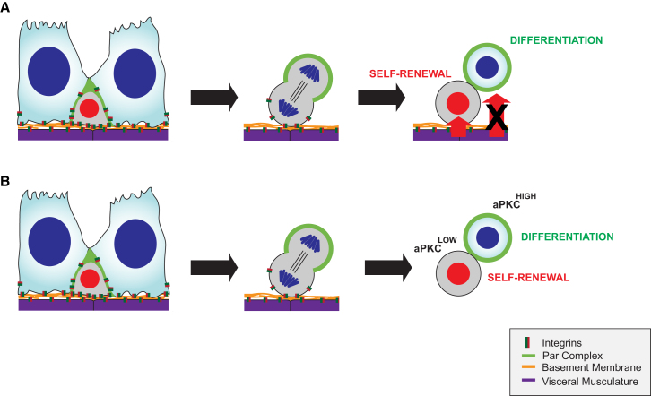 Figure 7