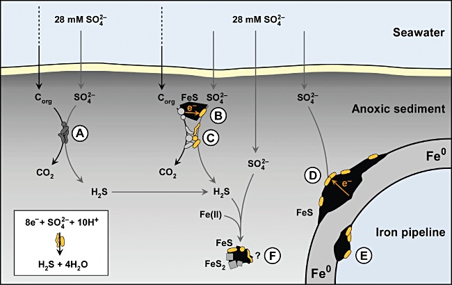 Fig. 6