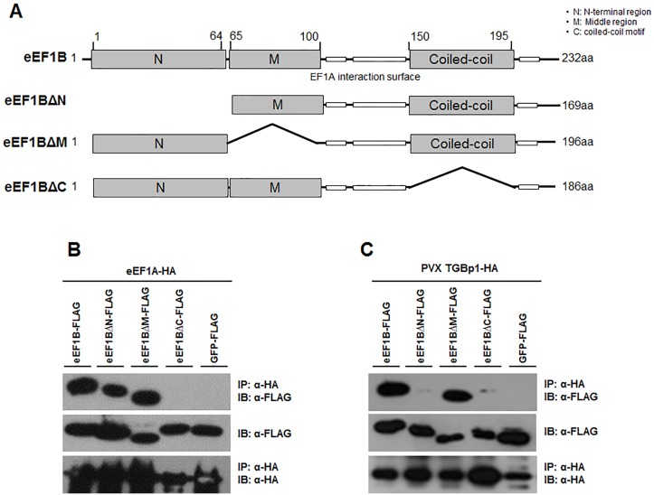 Fig 5