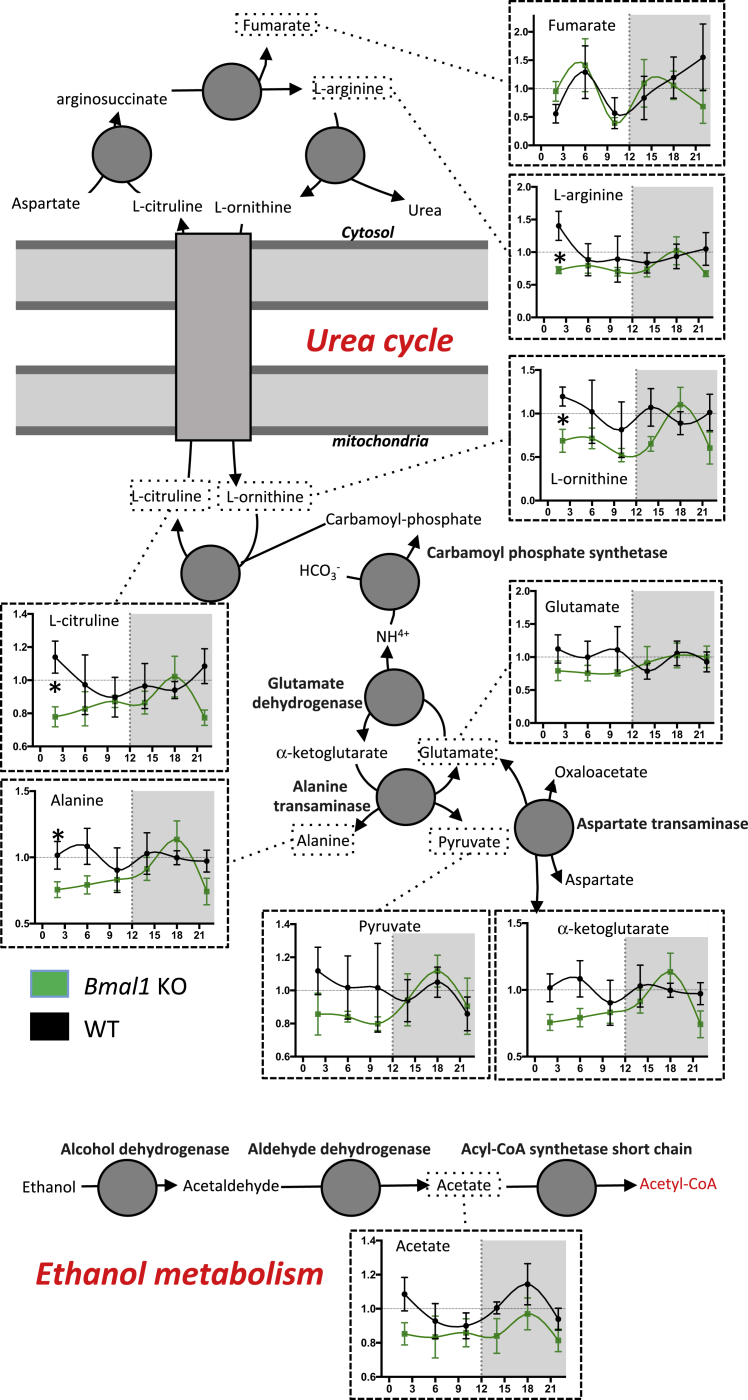 Figure 6