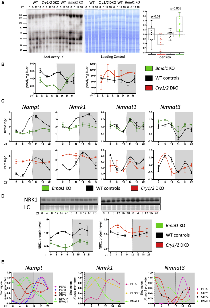 Figure 4