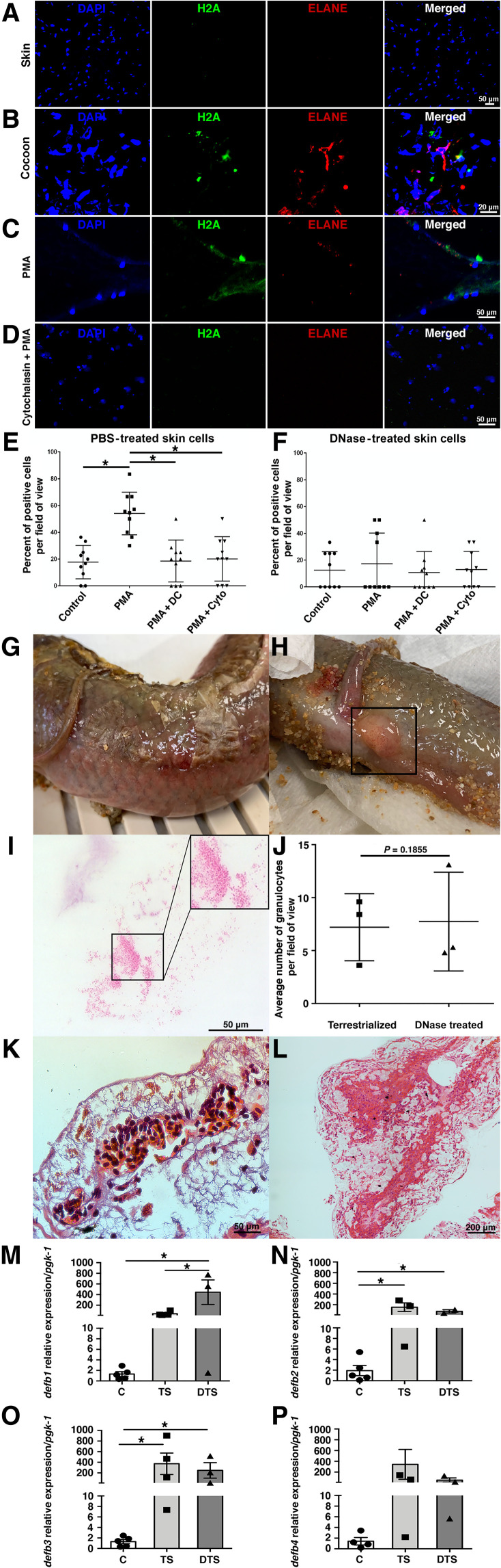 Fig. 5.