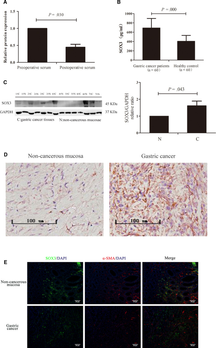 FIGURE 3