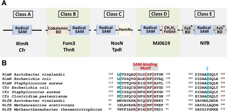 Fig. S5.