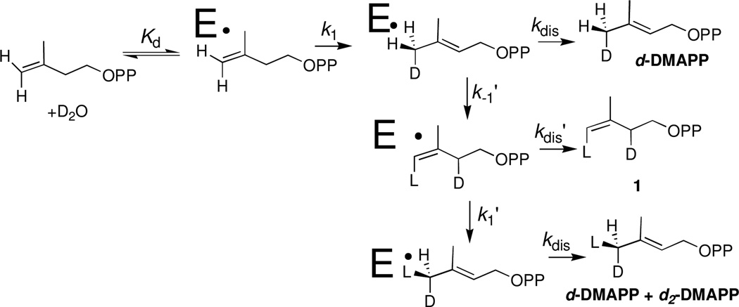 Scheme 3