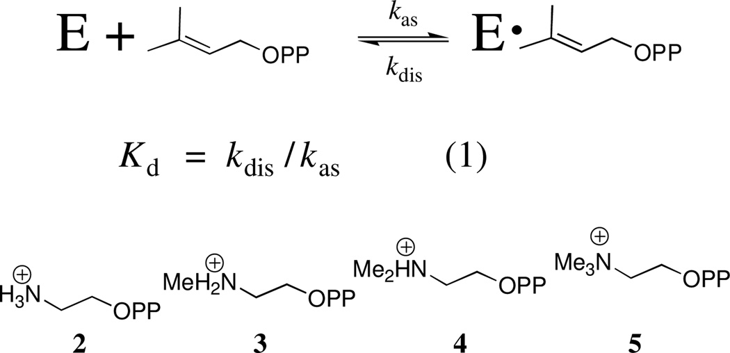 Scheme 4