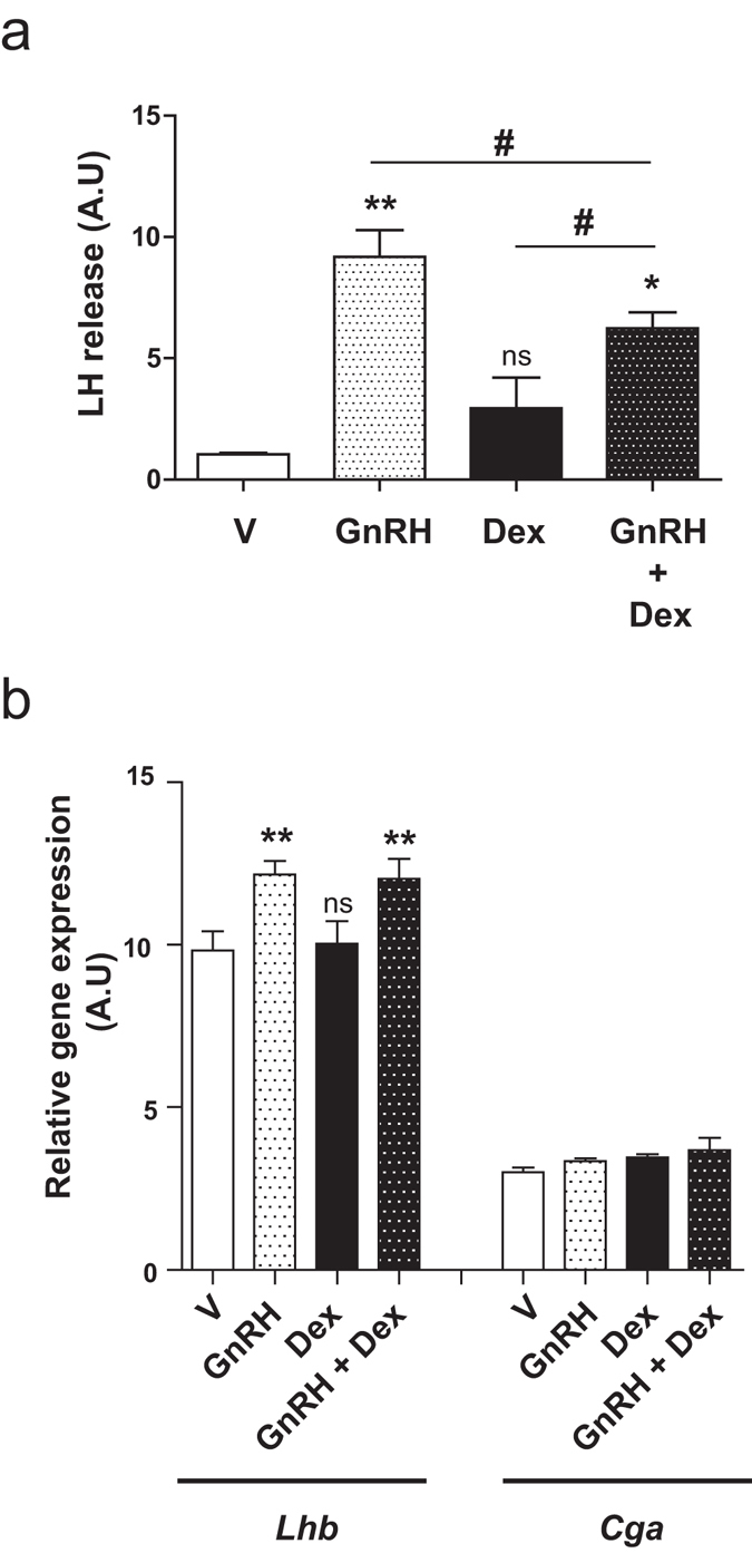 Figure 5