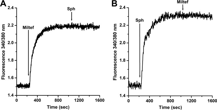 FIG 1