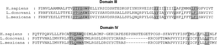 FIG 6