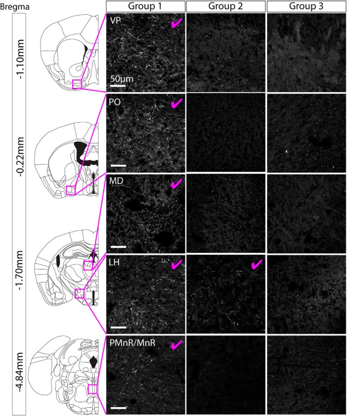 Figure 4.