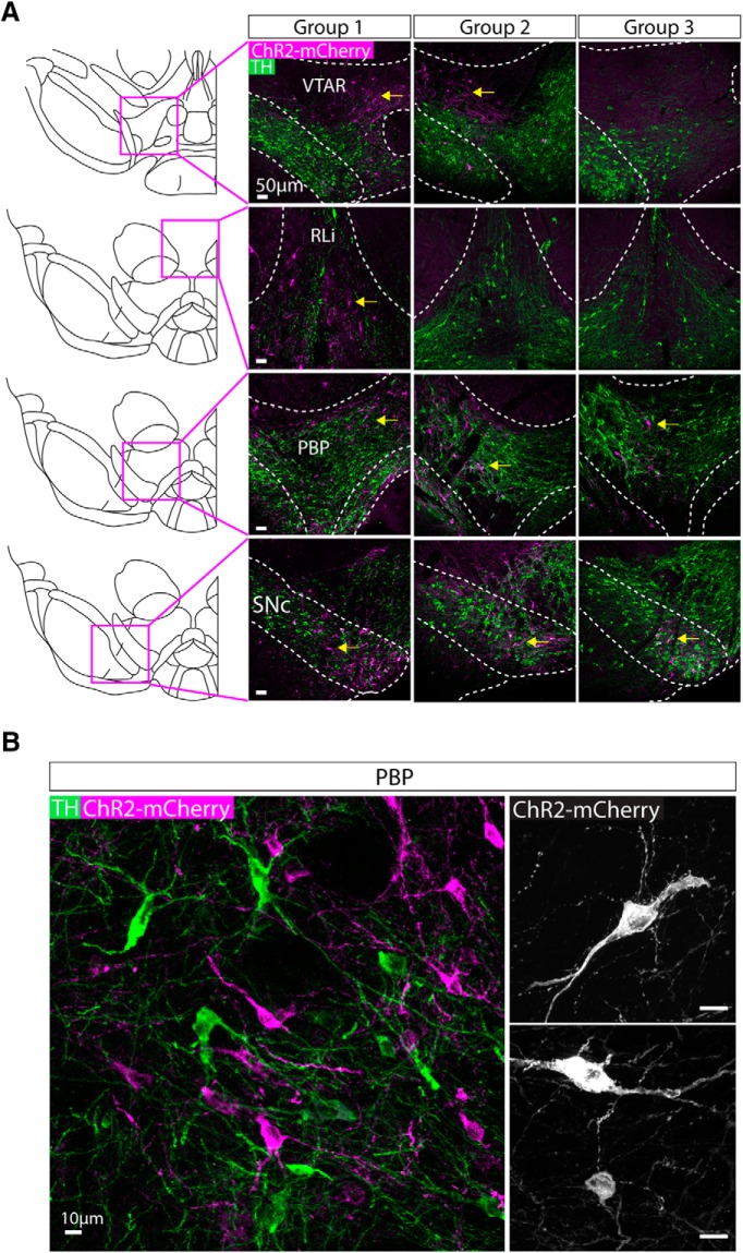 Figure 3.