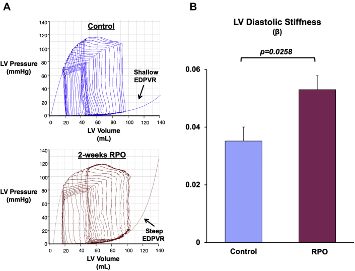 Figure 6