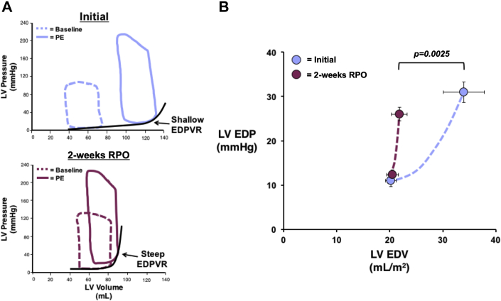 Figure 5