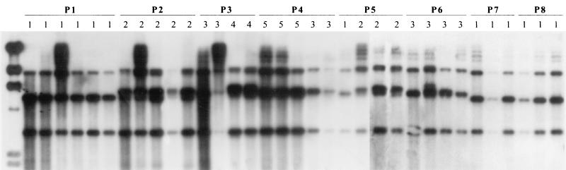 FIG. 1