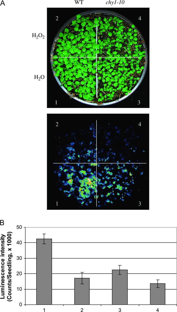 Figure 10.