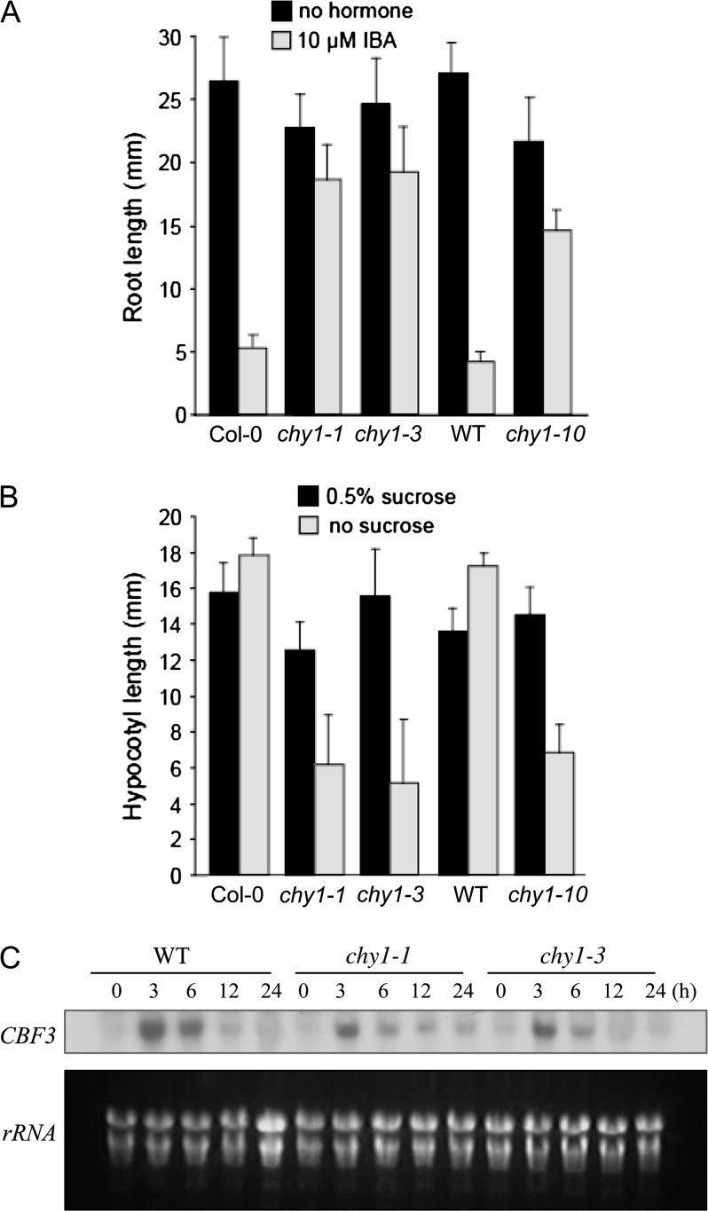 Figure 4.