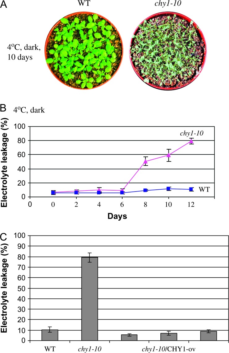 Figure 6.