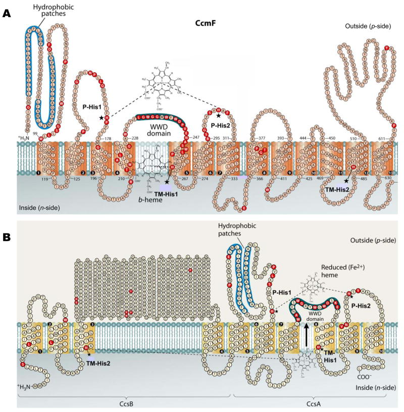 Fig. 4