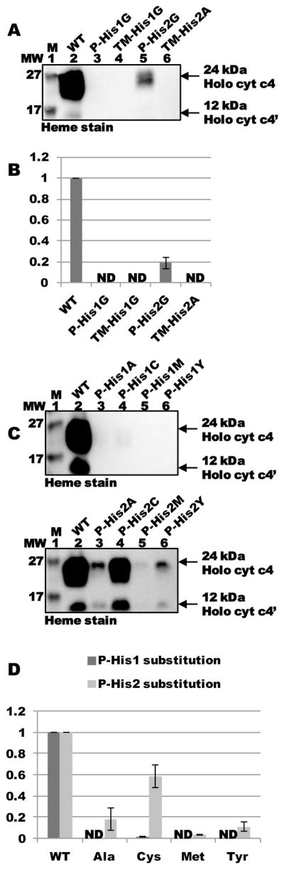 Fig. 5