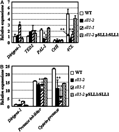 Figure 7.