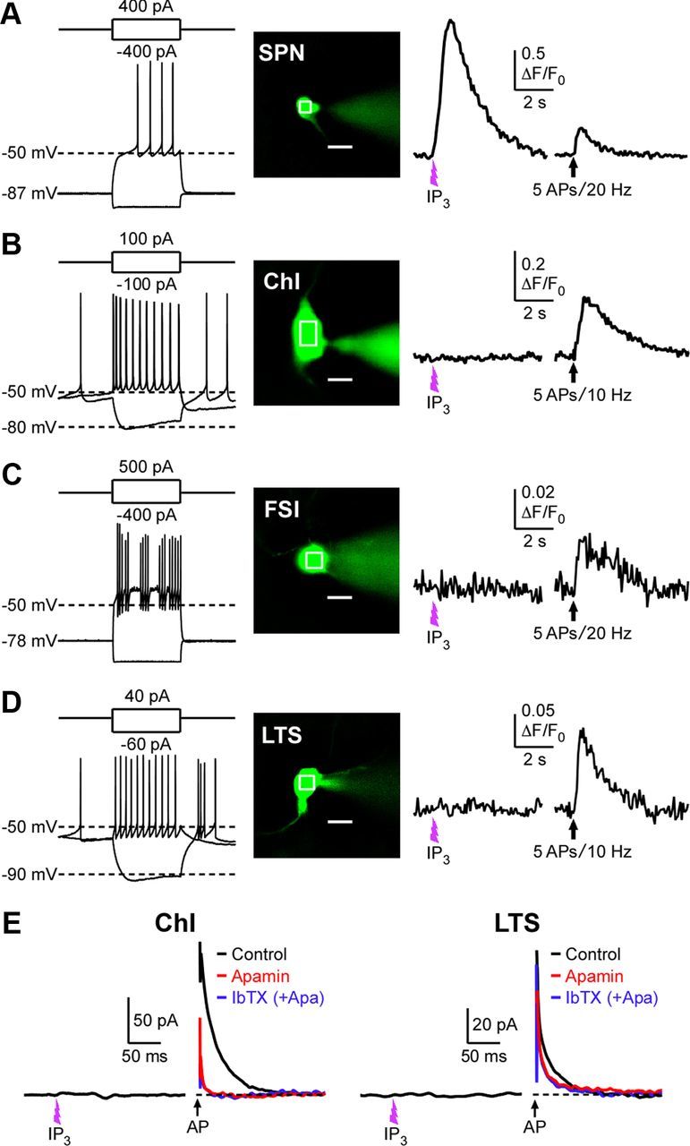 Figure 10.