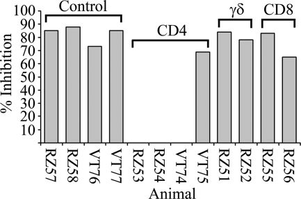 FIG. 7.