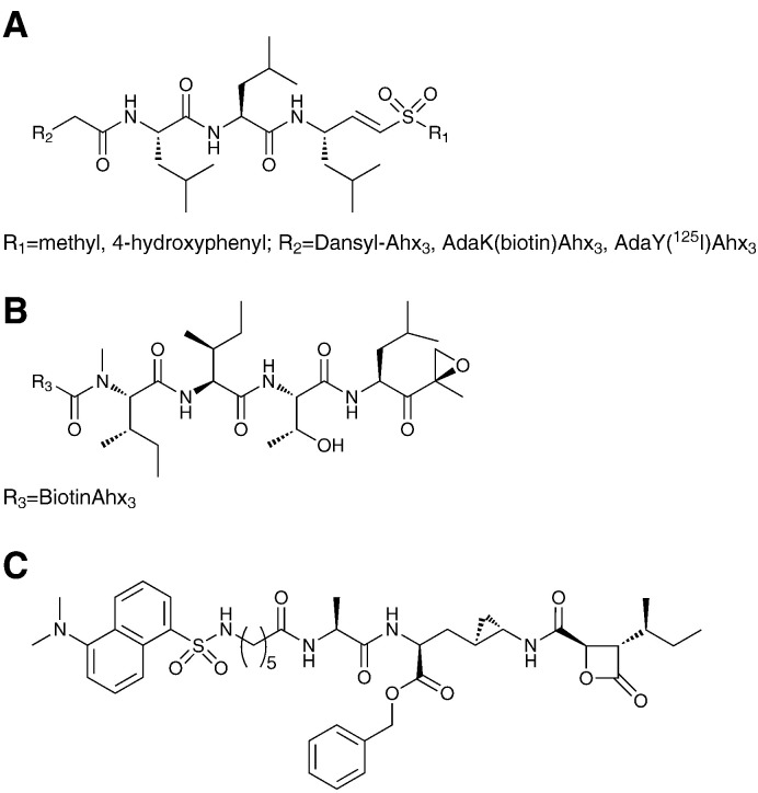 Fig. 2