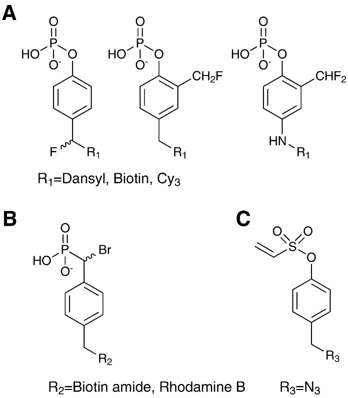 Fig. 5