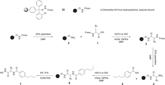 Scheme 2