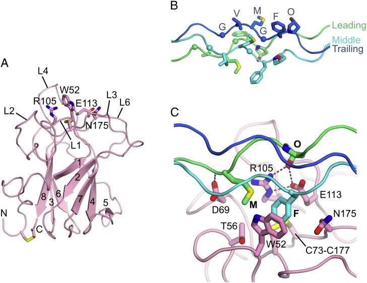 Fig. 2