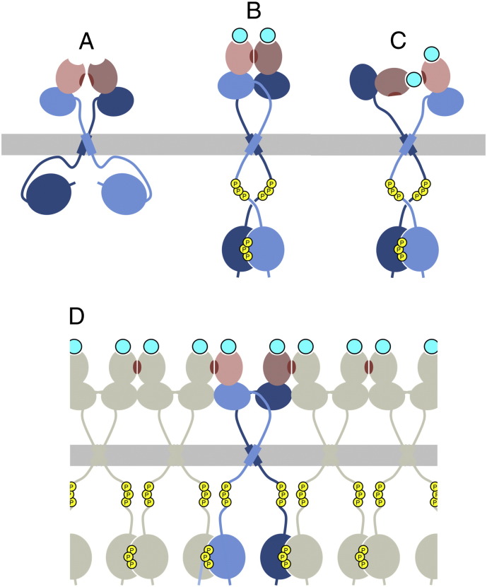 Fig. 4